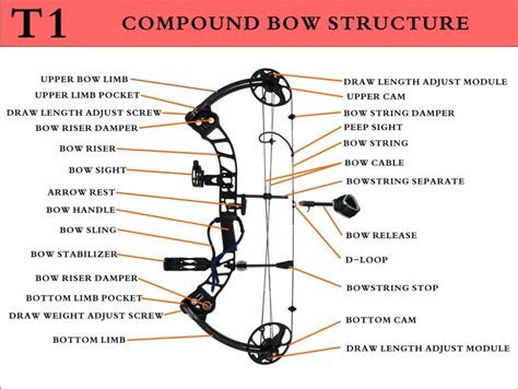 New 15 70lb Compound Bow And Arrow Hunting Target Archery Us Limbs Right