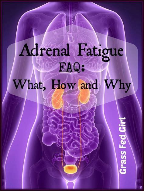 Adrenal Fatigue Faq What How And Why Adrenalfatiguesymptomstips