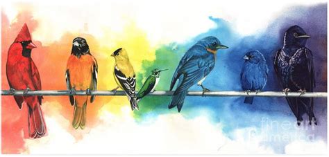 The Arrangement Of Birds And Color Can Also Be Associated By The Chakra