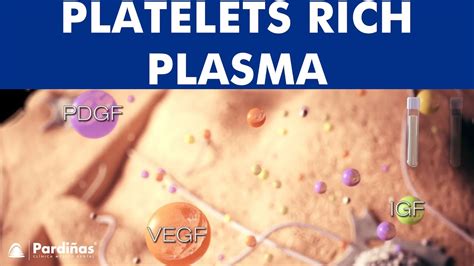 Platelet Rich Plasma Prp Tissue Regeneration © Youtube