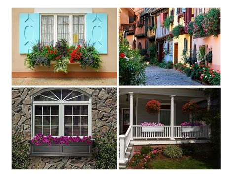 Our bay windows provide a larger center picture window with your choice of double hung or casement windows on the. Creative Window Box Flower Ideas