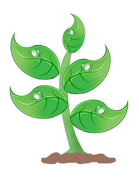 Free Plants Cliparts Download Free Plants Cliparts Png Images Free