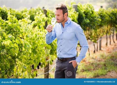 Handsome Man Drinking Wine Stock Photo Image Of Green 95858892