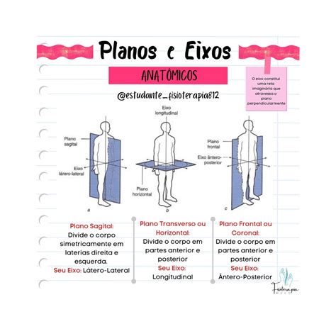 Anatomia Eixos E Planos Modisedu