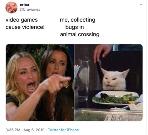 Woman Pointing At Cat Meme Template