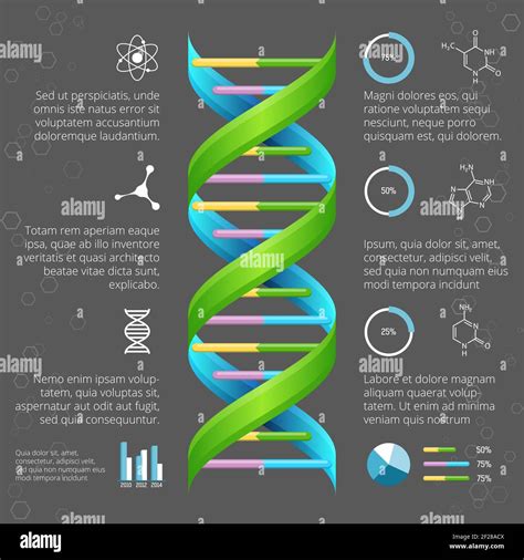 Infographic Template With Dna Structure For Medical And Biological