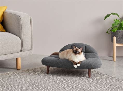 Cat Sofa Pets Cats And Kittens Cat Bed