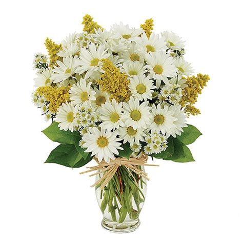 My Sunny Daisy Bouquet Akron Oh