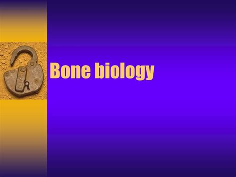 Bone Biology Ppt