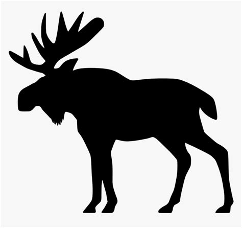Moose Elk Png Moose Clipart Transparent Png Kindpng