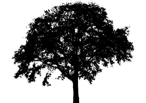 Clipart Tree Silhouette 6