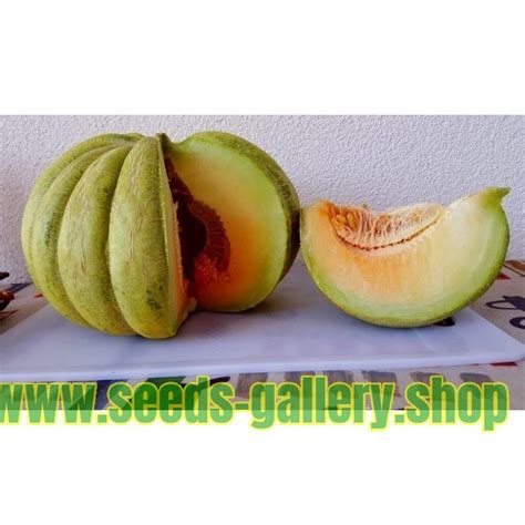 Sementes De Grécia Melon Banana Verde Preço €195