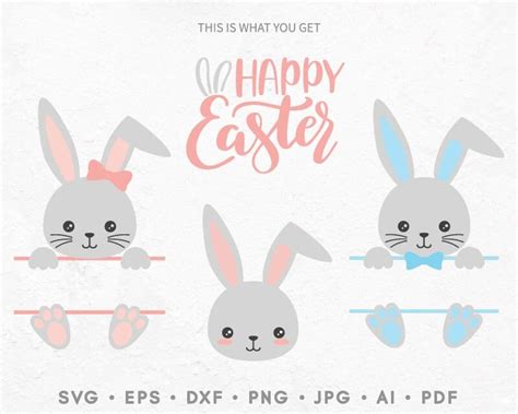 Bunny Easter Svg Easter Bunny Name Svg Happy Easter Svg - Etsy