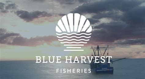Blue Harvest Ceo Expects 15 Rafael Vessel Deal To Close Within Weeks