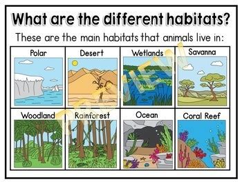 The Kennedy Center: Animal Habitats | SciTech Institute
