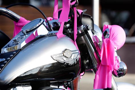 Harley Davidson In The Pink Mcnews