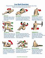 Images of Back Muscle Exercise Home