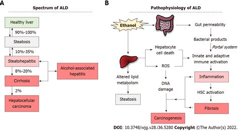 Liver Specific Drug Delivery Platforms Applications For The Treatment