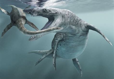 Prehistoric Animals Sea Dinosaurs Prehistoric Dinosaurs Prehistoric
