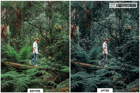 When you apply a preset to a photo, lightroom reads the instructions and here is our list of hand curated free lightroom presets. Moody Green Presets - Mobile & Desktop Lightroom Presets ...