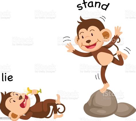 Opposite Words Lie And Stand Vector Stock Illustration Download Image