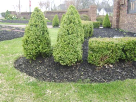 Bushes landscaping & garden center, whippany, new jersey. Low Maintenance Landscaping Professional Middle Tn Nashville