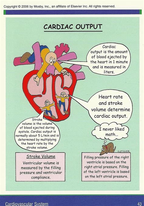 De 25 Bedste Idéer Inden For Cardiac Nursing På Pinterest