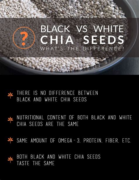 Black Vs White Chia Seeds Brenda Eav