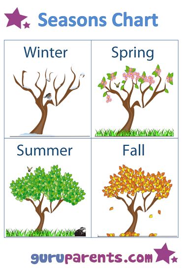Season Chart For Kindergarten A Visual Reference Of Charts Chart Master