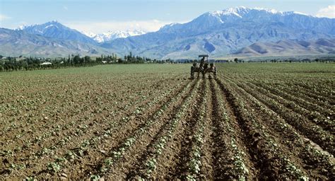 В структуре ВВП Таджикистана все еще преобладает сельское хозяйство