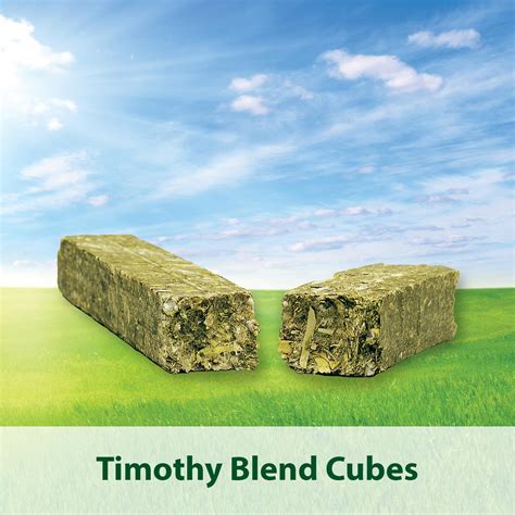 Kaytee Timothy Hay Cubes 1 Lb Bag Amazonca Pet Supplies