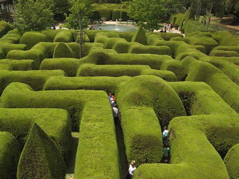 Discover The Enchanting Garden Maze Melbourne