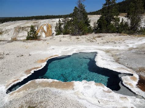 Yellowstone Upper Geyser Basin Van Dijk Op Reis