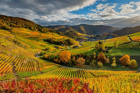 Images Germany Vineyard Autumn Nature Hill Clouds
