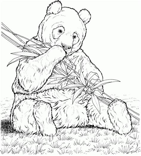 See more ideas about red panda, cute animals, panda. Red Panda Coloring Page - Coloring Home