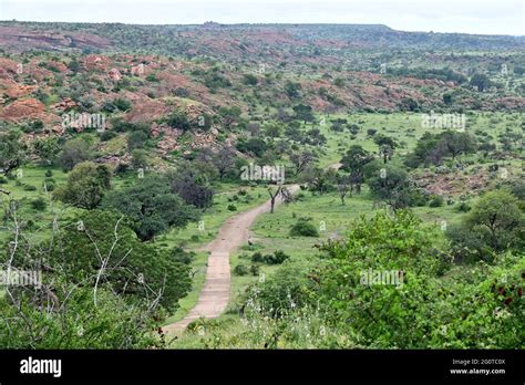 Mapungubwe National Park Is A World Heritage Site In Limpopo South