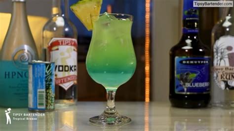 Best Hpnotiq Cocktails To Drink