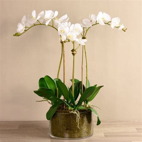 Orchid Arrangement In Glass Vase