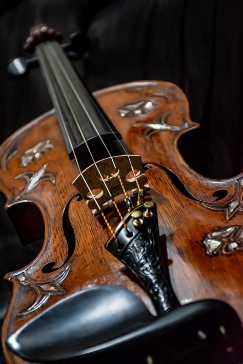 Violin Strings Music Free Photo On Pixabay Pixabay