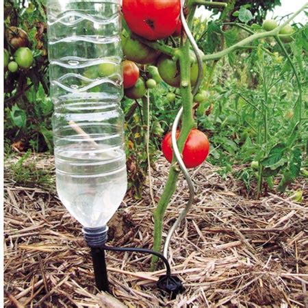We did not find results for: DIY Automatic Plant Waterer - Ridiculously Simple | Greenamajigger