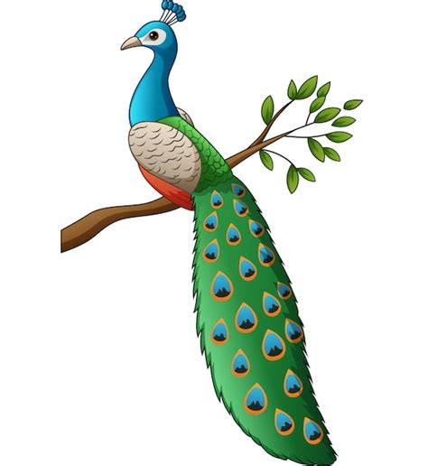 Premium Vector Cartoon Cute Peacock On A Branch