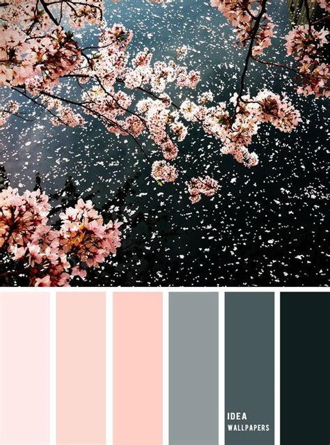 19 The Perfect Pink Color Combinations Black Blush Grey Pink Color