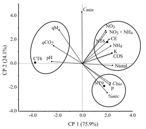 Propiedades Qu 237 Micas Del Suelo Coggle Diagram Gambaran