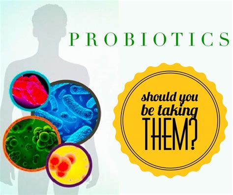 Probiotic Benefits Gut Health Should You Be Taking Them Hot Sex Picture