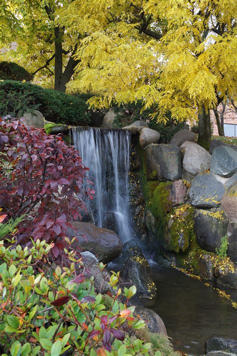 The Japanese Garden Normandale Community College