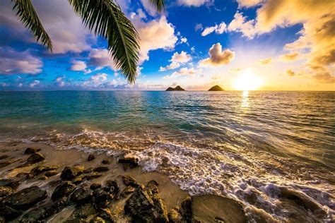Oahu Beaches The Best Beaches In Oahu For Your Visit Oahu Beaches