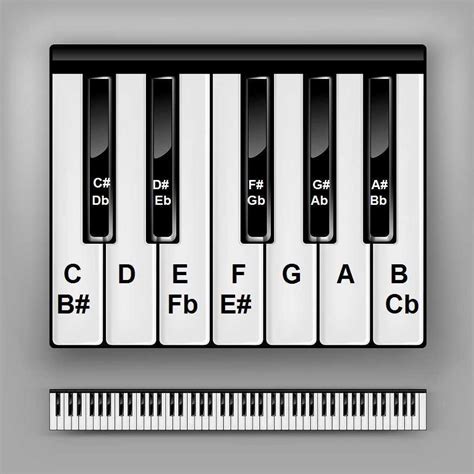Printable Beginner Piano Keys Printable World Holiday