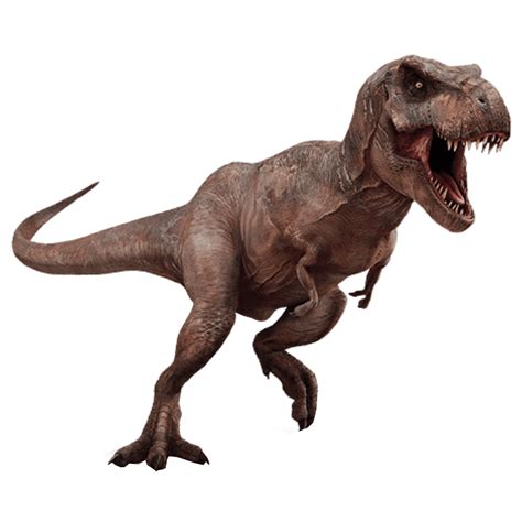 Tyrannosaurus Rex T Rex Png Vector Psd And Clipart With Transparent