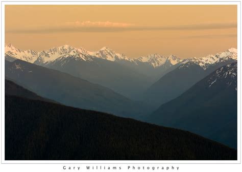 Olympic Peninsulahurricane Ridge Gary Williams Photography