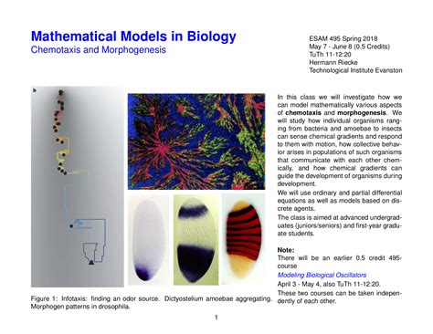 Mathematical Models In Biology Chemotaxis And Morphogenesis